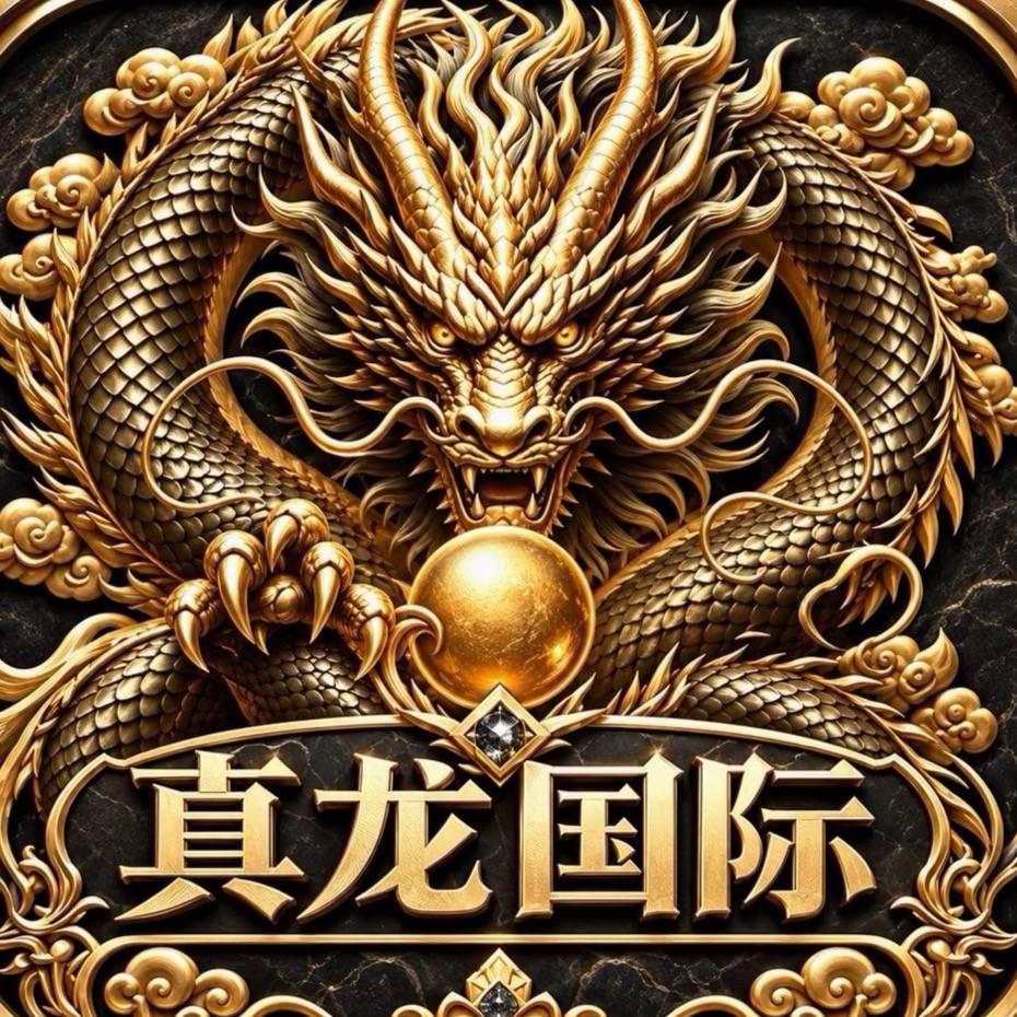 真龙国际